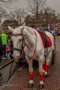 2025-11-15 Jan intocht 144